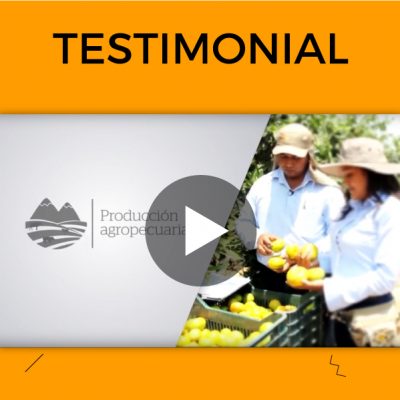 Portafolio,-testimoniales-imagen-destacada