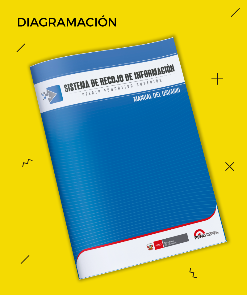 Manual del sistema de recojo de información