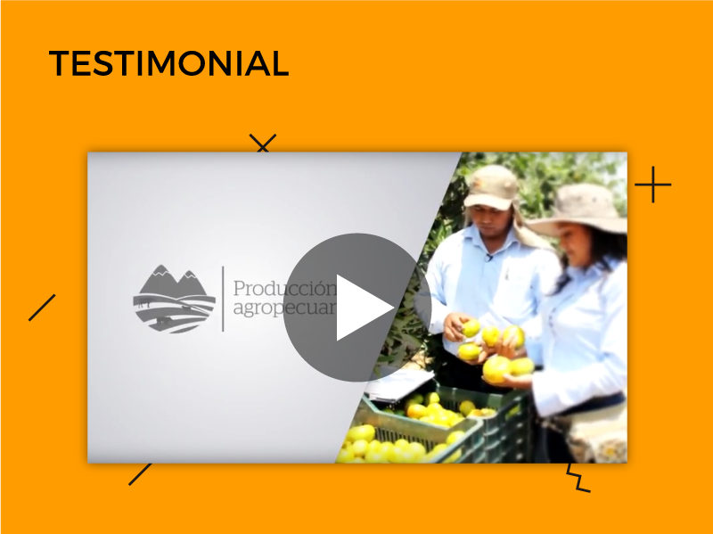 Videos testimoniales: Educación Técnica