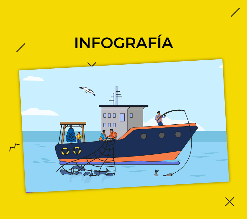 Infografías 14 para la Dirección de Educación Básica Especial – Minedu 2021