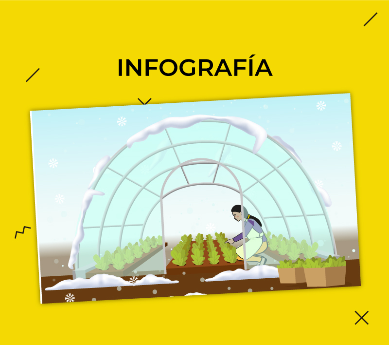 Infografías 15 para la Dirección de Educación Básica Especial – Minedu 2021