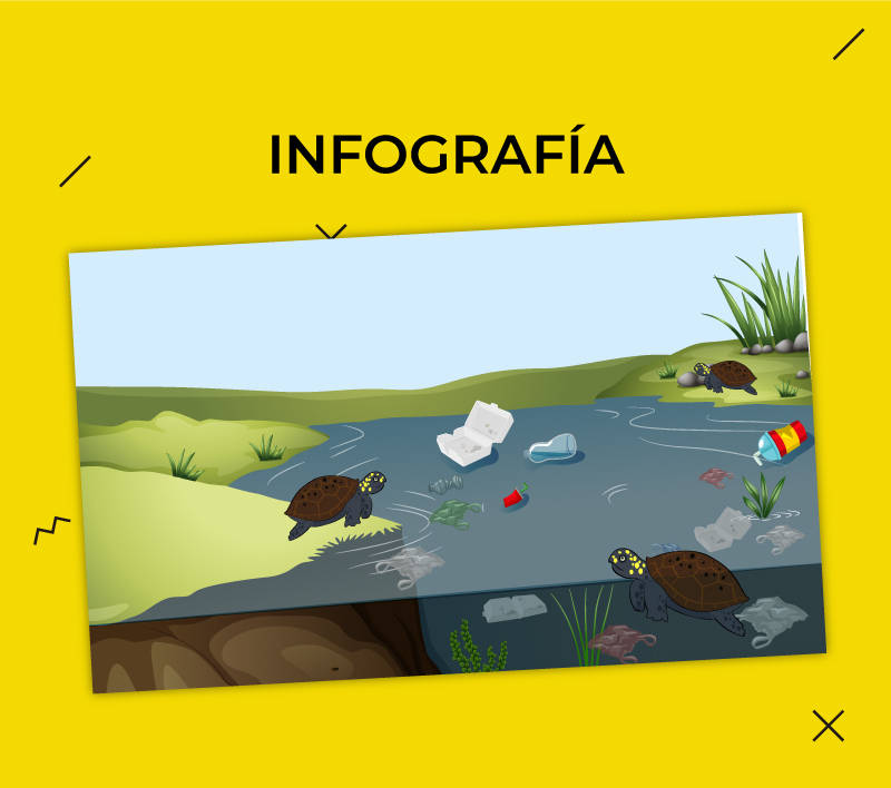 Infografías 17 para la Dirección de Educación Básica Especial – Minedu 2021